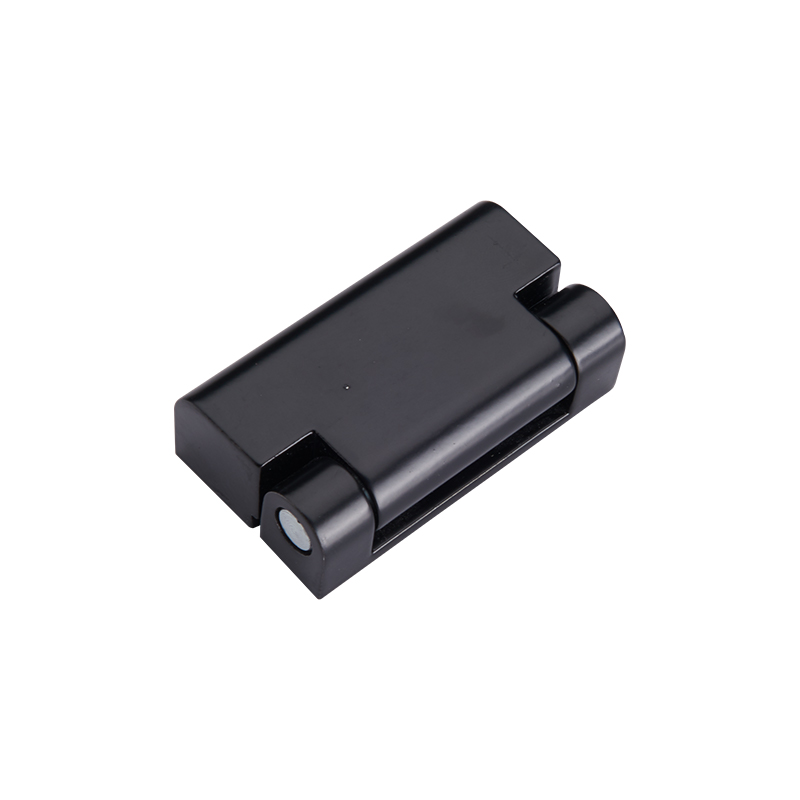 CL219-1S 164g 25lot geborsteld gepolijst roestvrijstalen scharnieren met pin