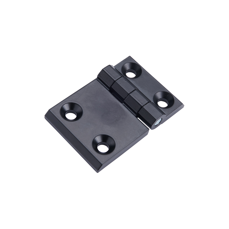 CL233-2-2 Elektrolyse of polijsten roestvrijstalen scharnier en pen